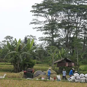 Pondok Gepokan Homestay ** Ubud (Bali)